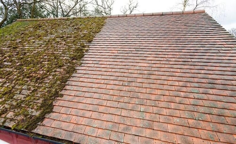 Terracotta tiled roof with moss growth on left side and bare trees visible in background